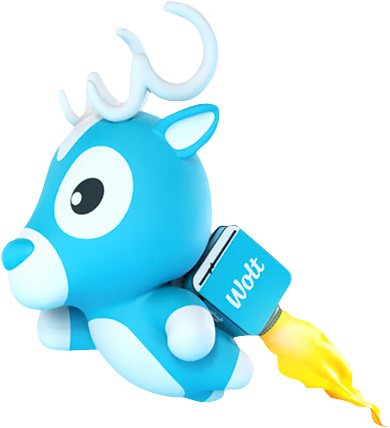 Wolt配達パートナー