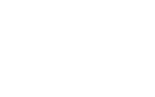 DELIVERY INDEX